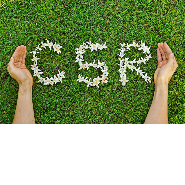 Picture showing CSR made out of flowers