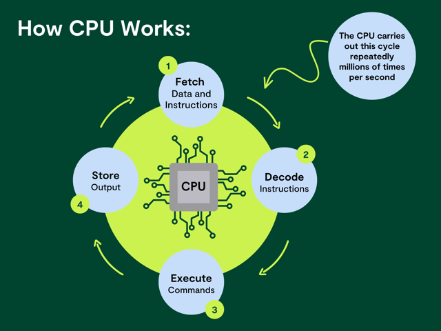 Image showing how does the CPU works in its 4 stages of fetch, decode, execute and store