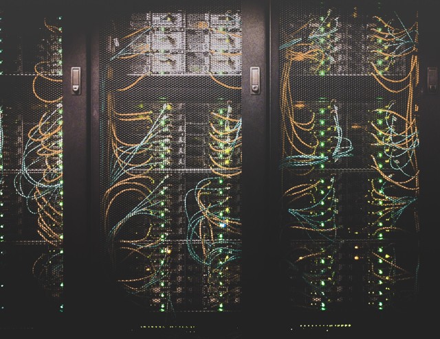 Picture of servers by Taylor Vick 2