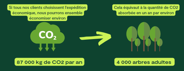 Infographic about CO2 emissions in French