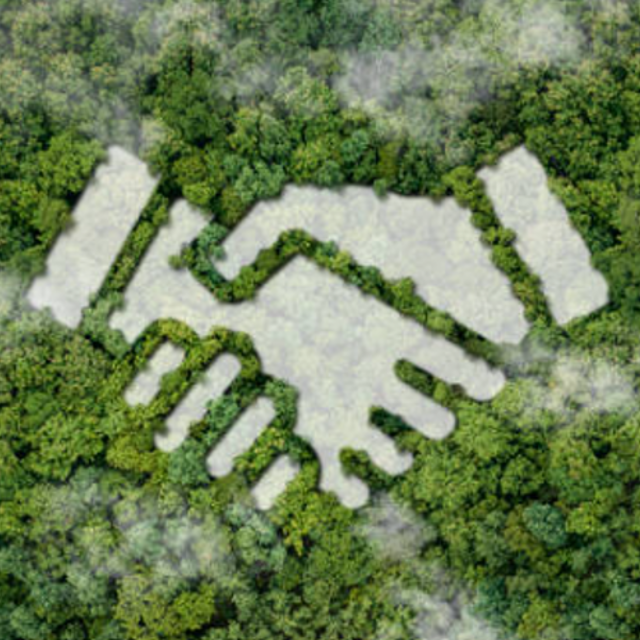 Picture showing a forest with cloudy handshake on top of it