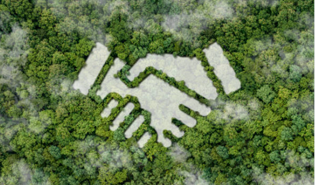 Picture showing a forest with cloudy handshake on top of it